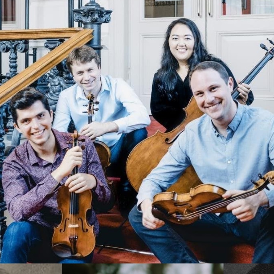 Calidore String Quartet Portrait