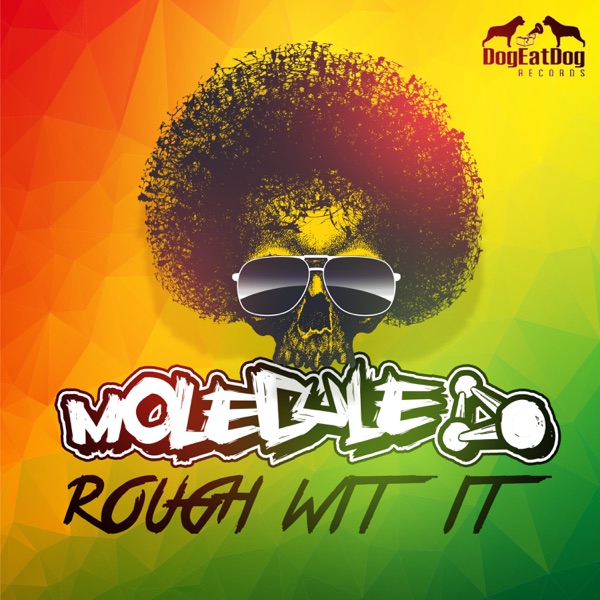 Rough Wit It - Single album cover