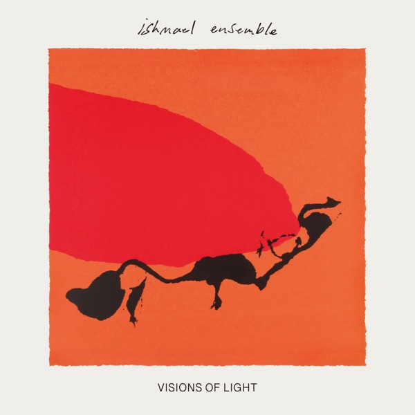 Visions of Light album cover