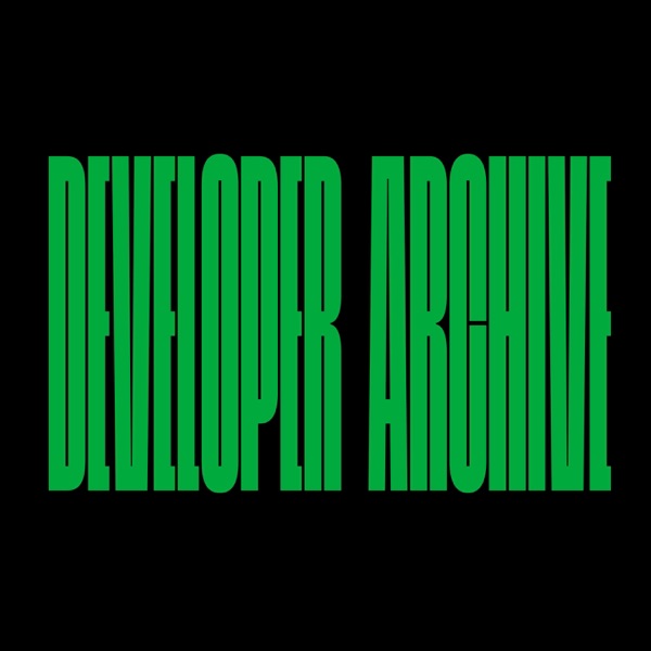Developer Archive 11 album cover
