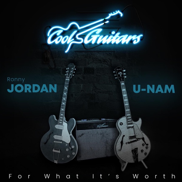 For What It's Worth (feat. Ronny Jordan & U-Nam) - Single album cover