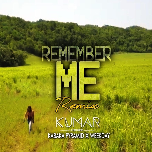 Remember Me (Remix) - Single album cover