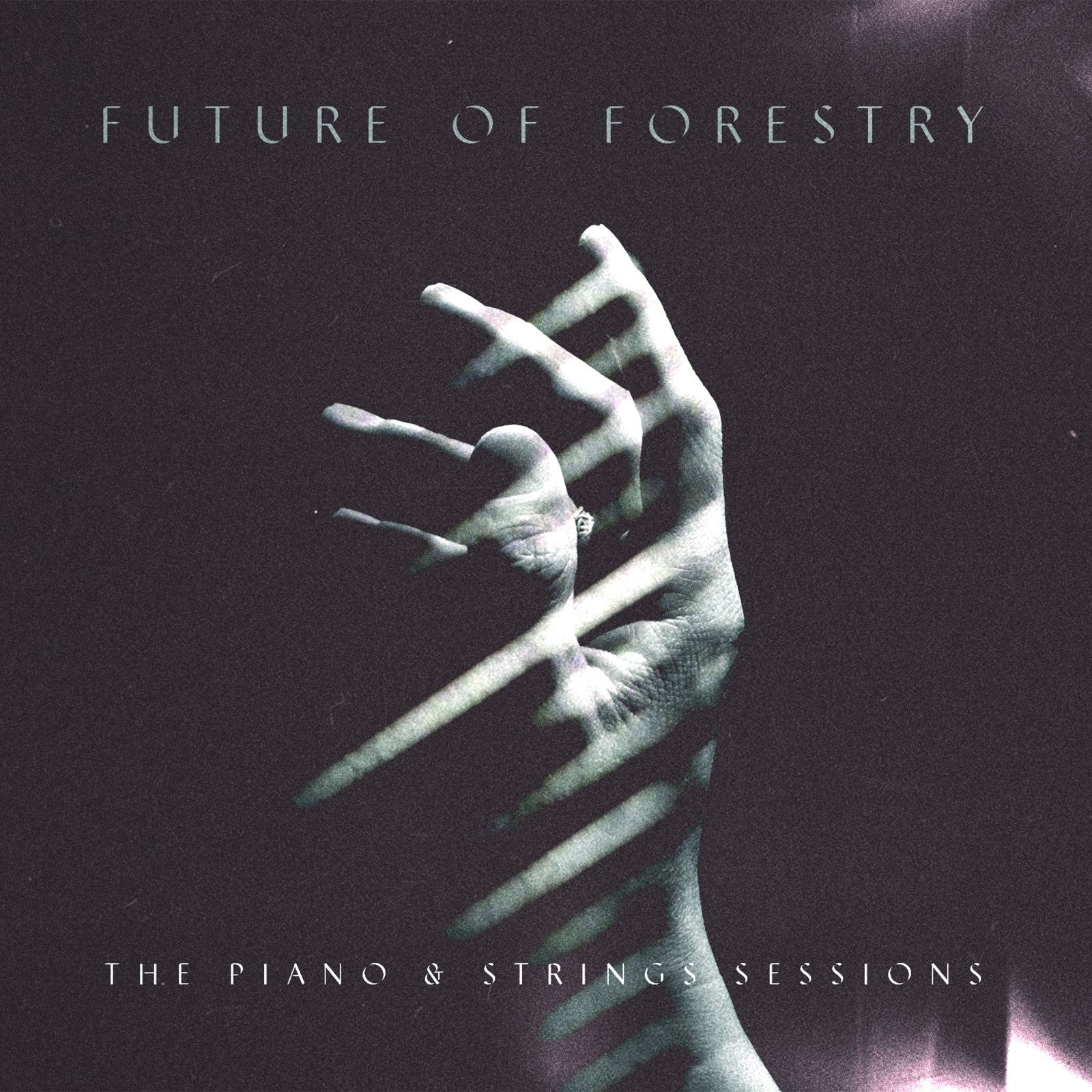 The Piano & Strings Sessions album cover