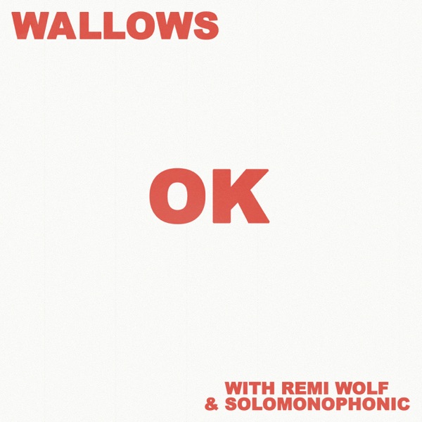 OK (with Remi Wolf & Solomonophonic) - Single album cover