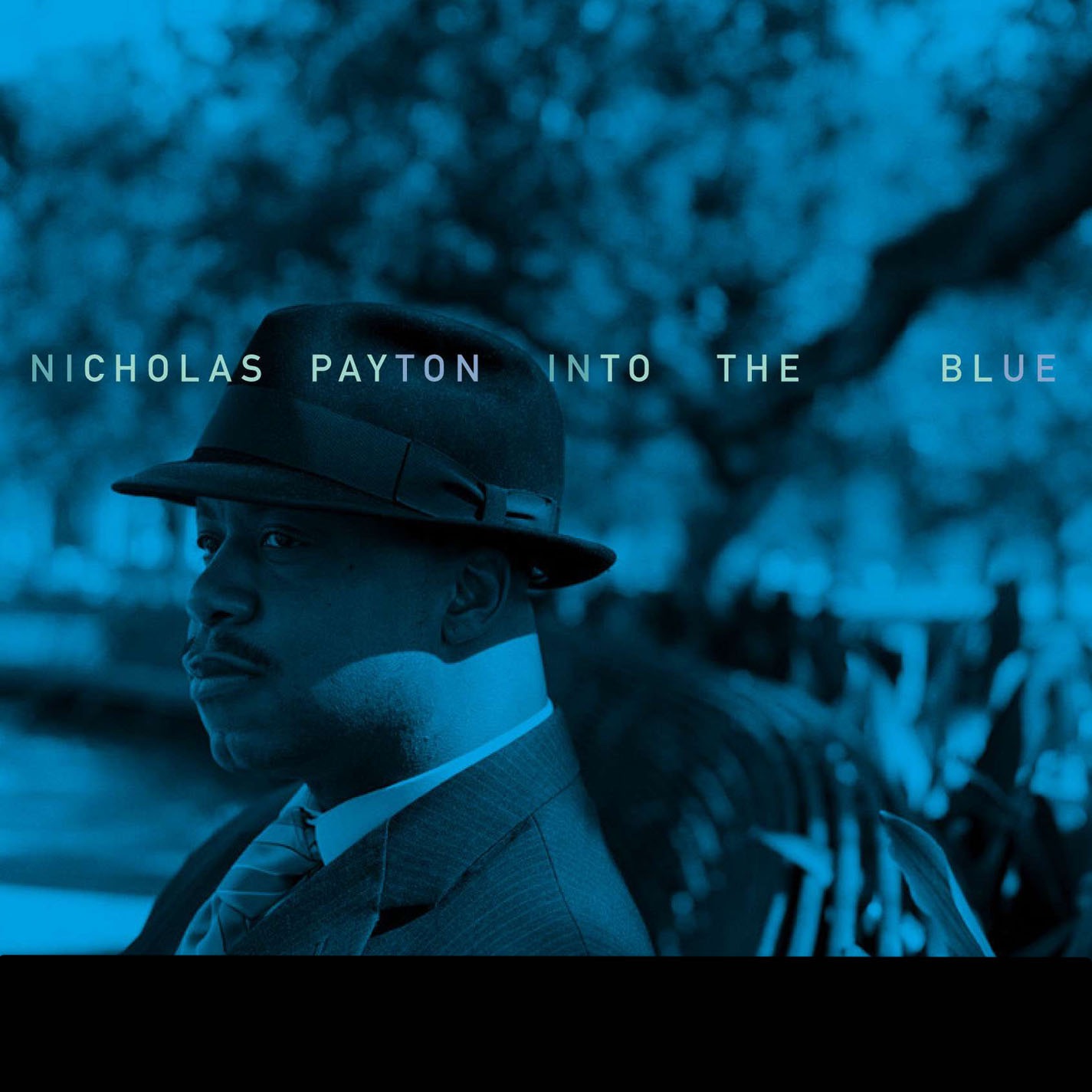 Into the Blue album cover