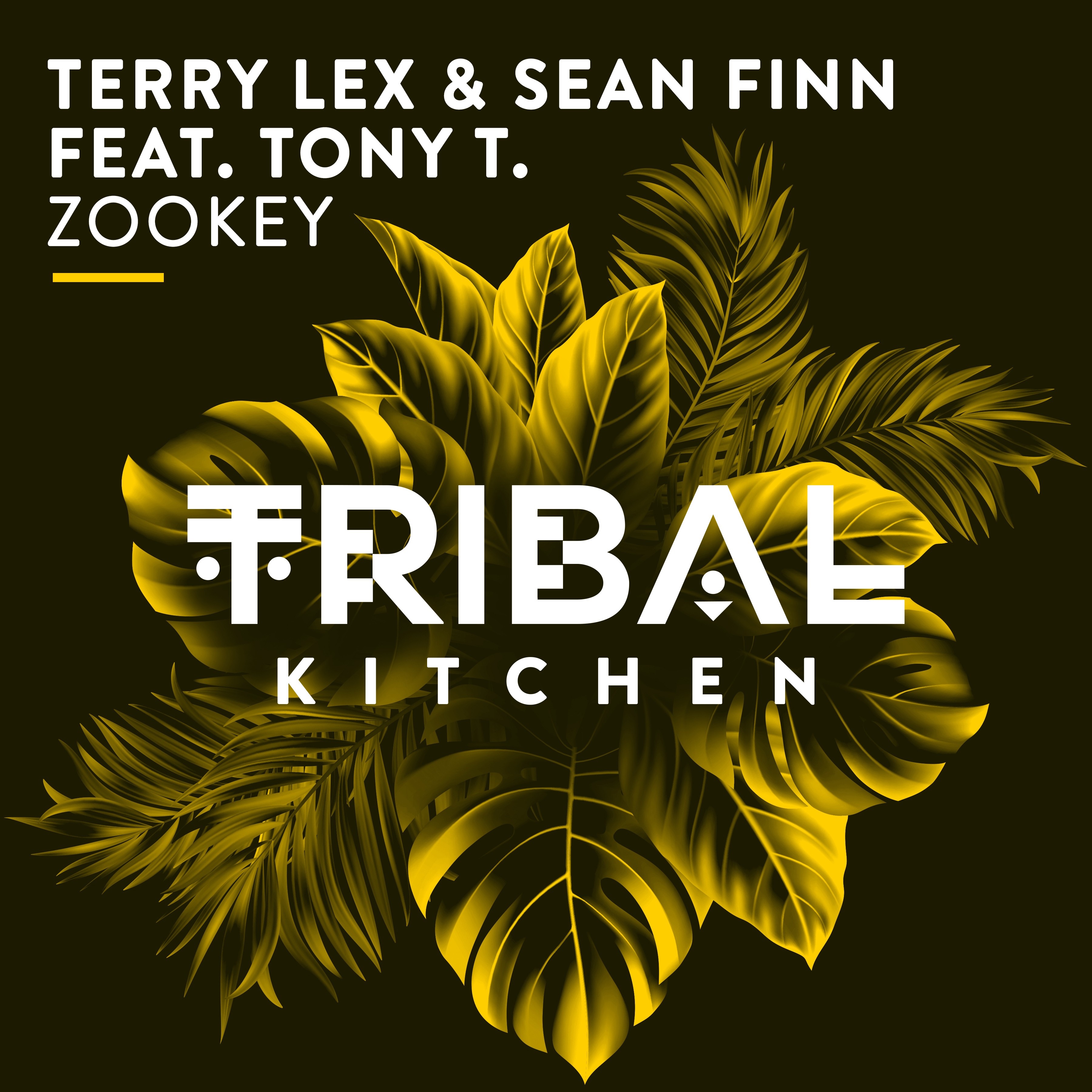 Zookey (feat. Tony T.) [Radio Edit] - Single album cover