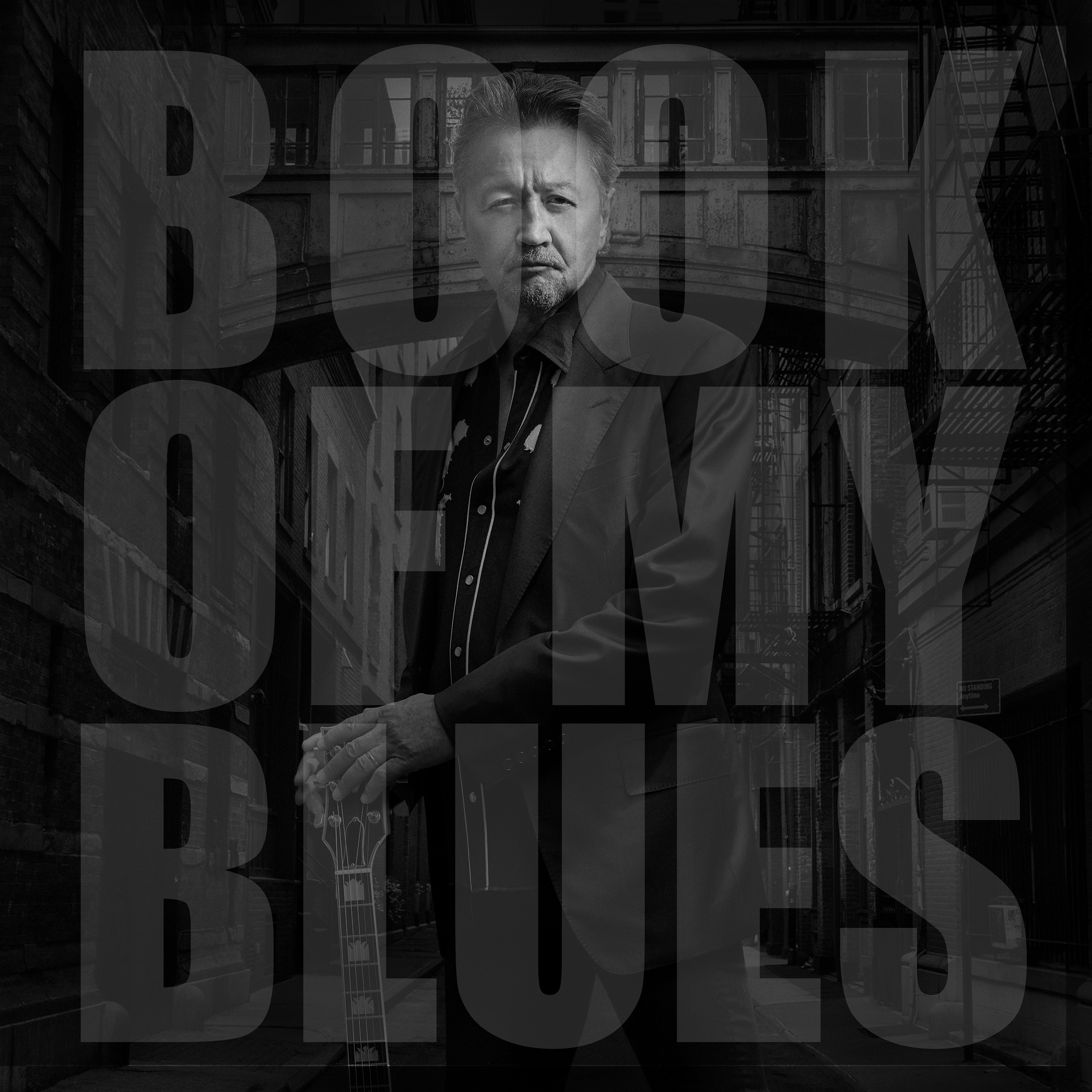 Book of My Blues album cover