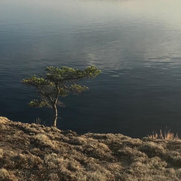 Midnight Sun 4 B album cover