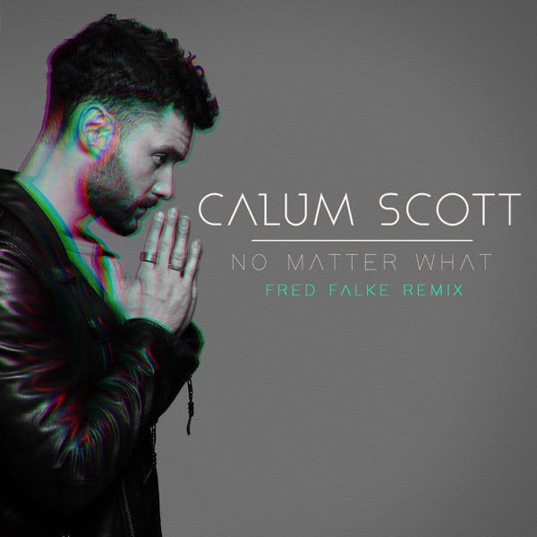 No Matter What (Fred Falke Remix) - Single album cover