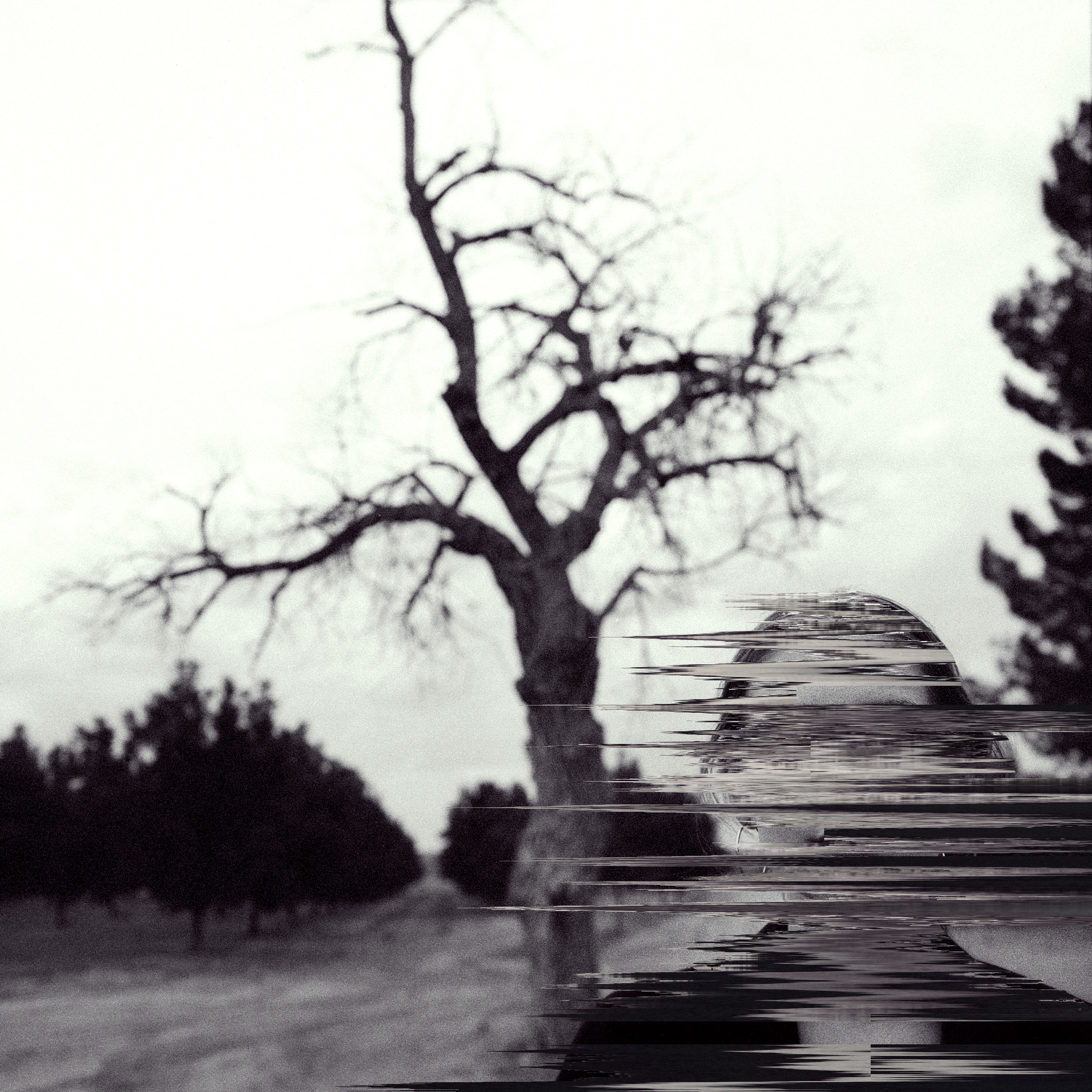Broken Harvest - Single album cover