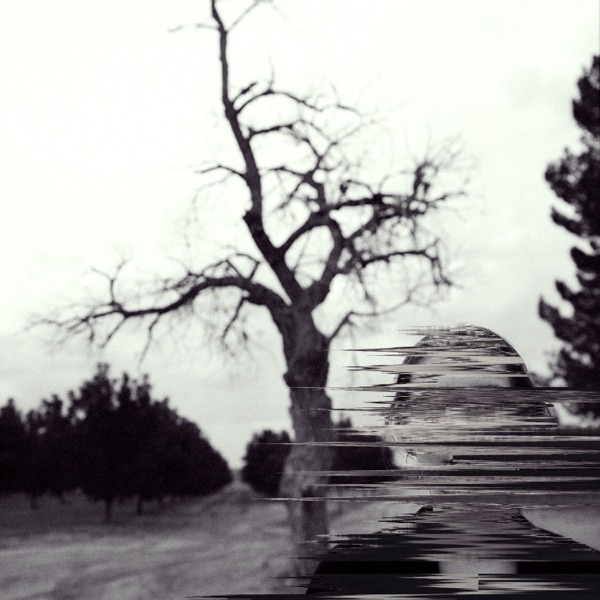 Broken Harvest - Single album cover