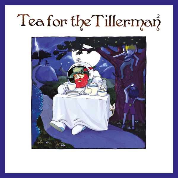 Tea for the Tillerman² album cover