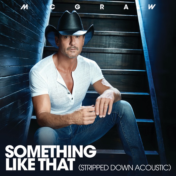 Something Like That (Stripped Down Acoustic) - Single album cover