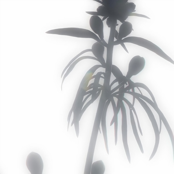 If the Benign Was to Ever Be So Pure - EP album cover