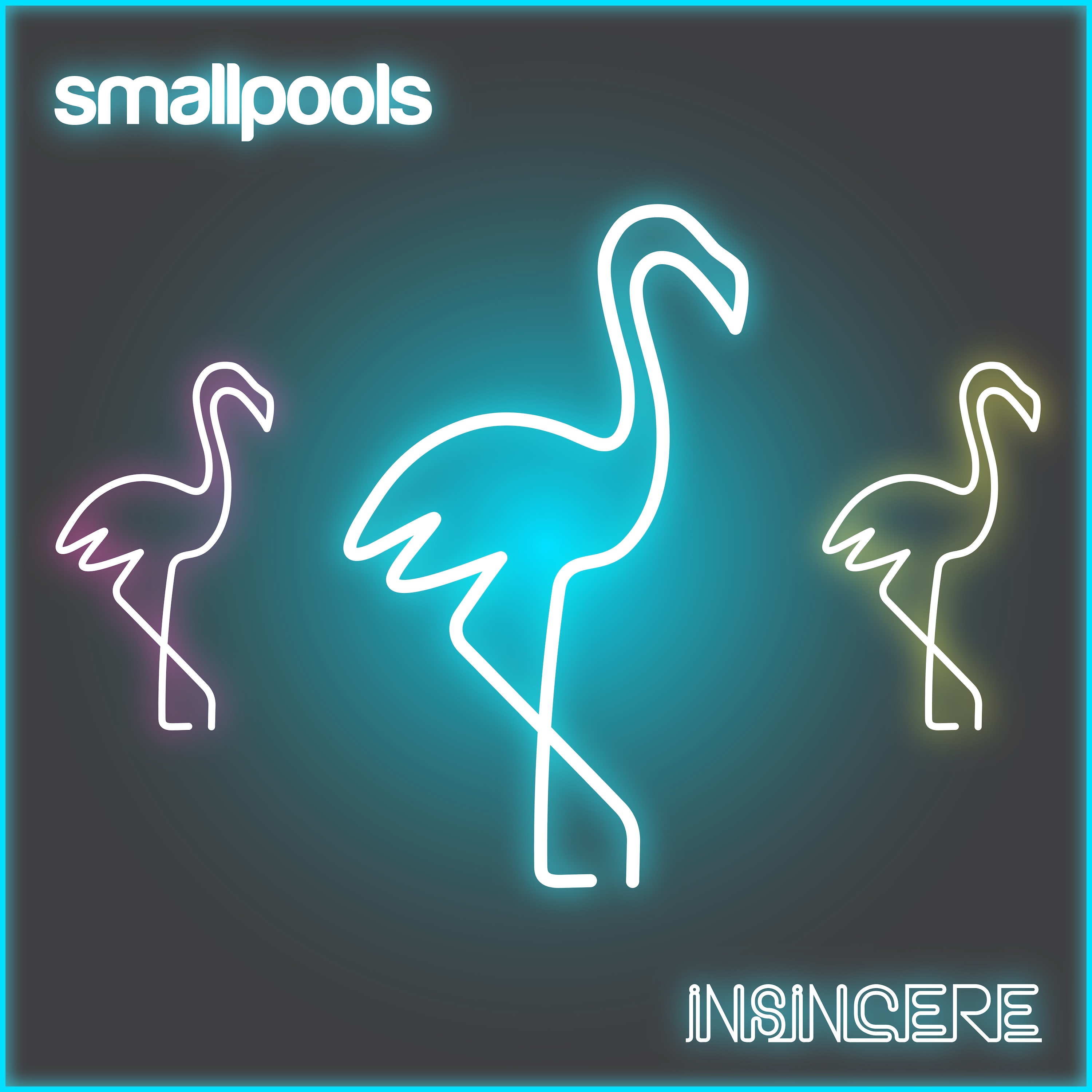 Insincere - Single album cover