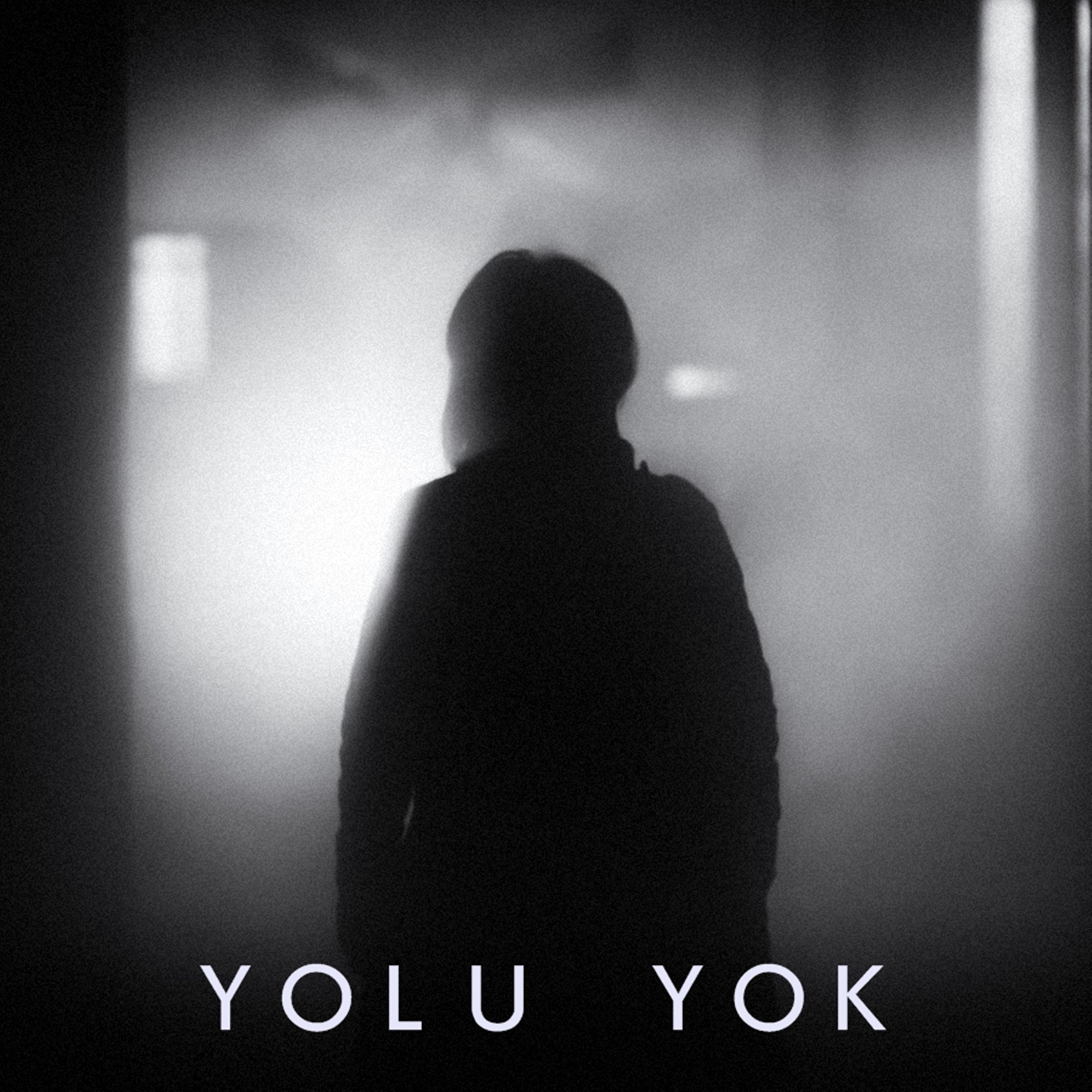 Yolu Yok (feat. Zerrin Temiz) - Single album cover