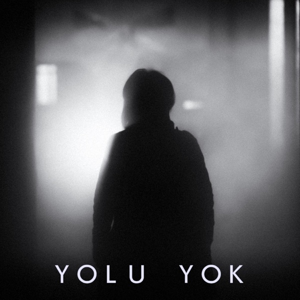 Yolu Yok (feat. Zerrin Temiz) - Single album cover