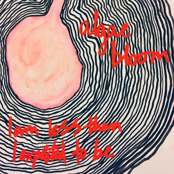 I am less than I expected to be album cover
