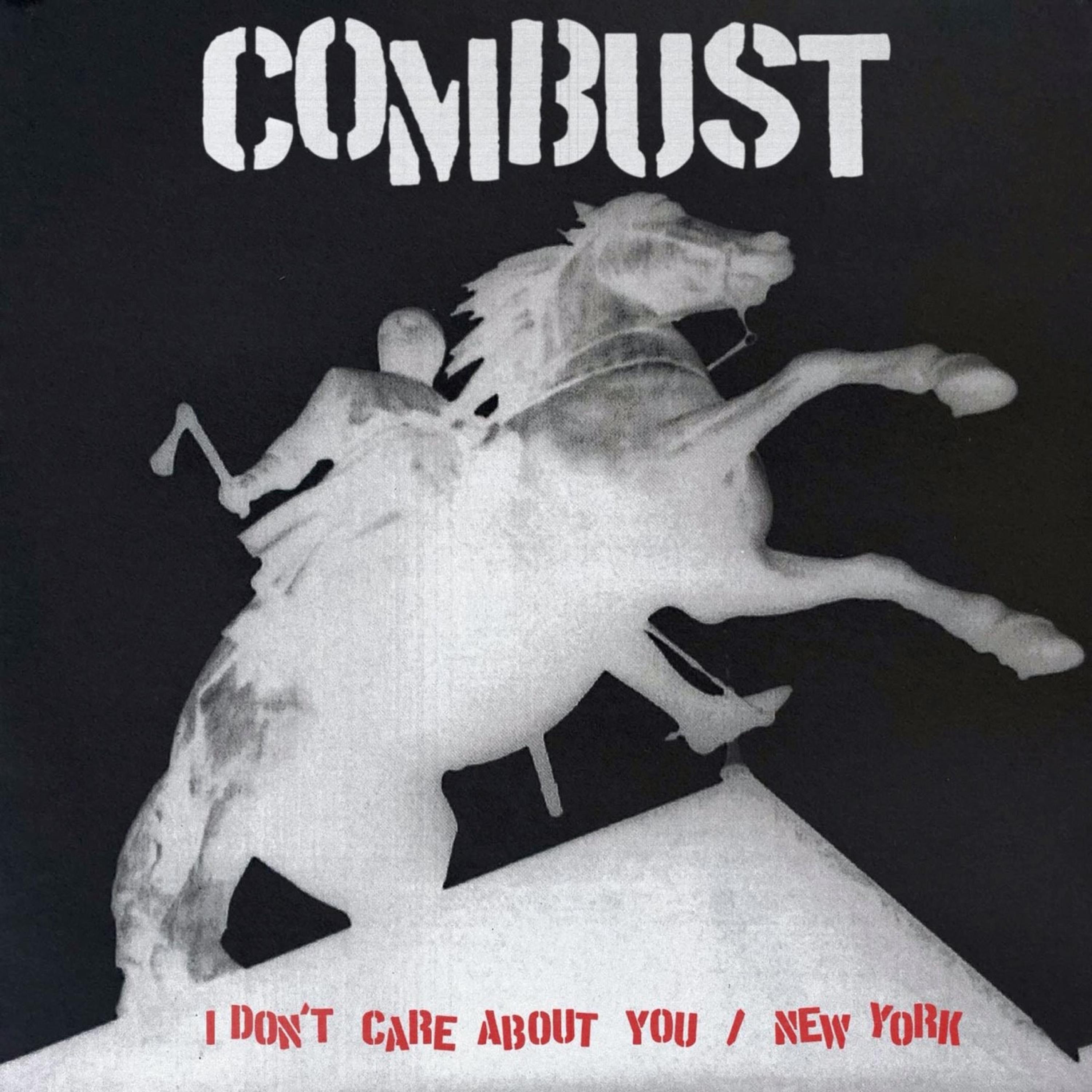 I Don't Care About You / New York - Single album cover