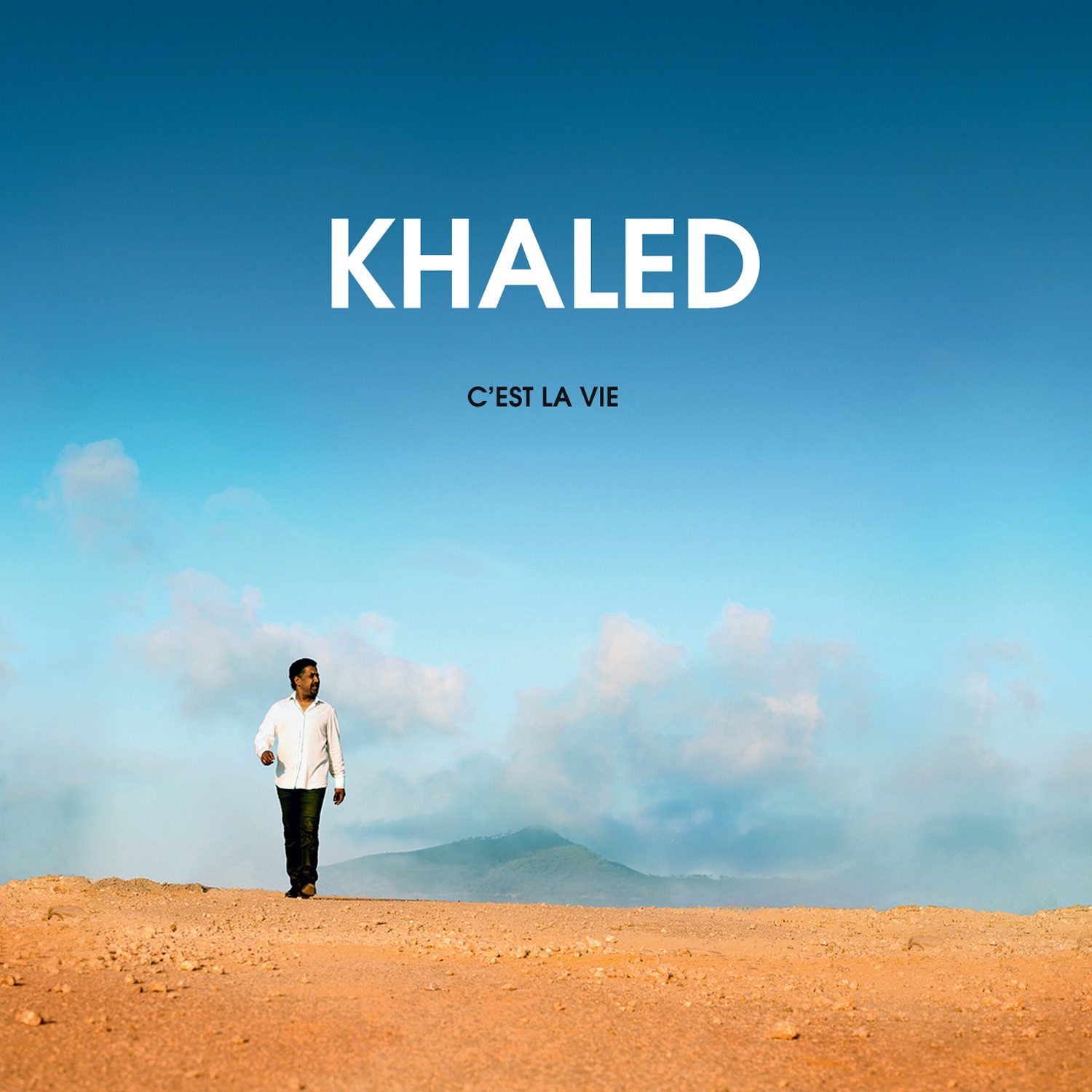 C'est la vie album cover