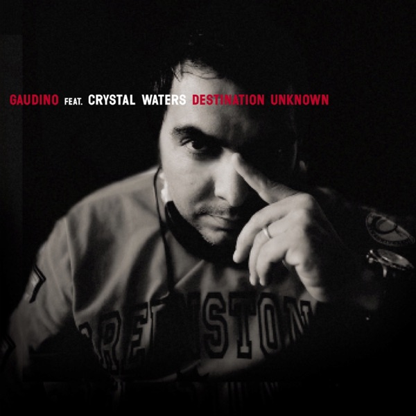 Destination Unknown (feat. Crystal Waters) album cover