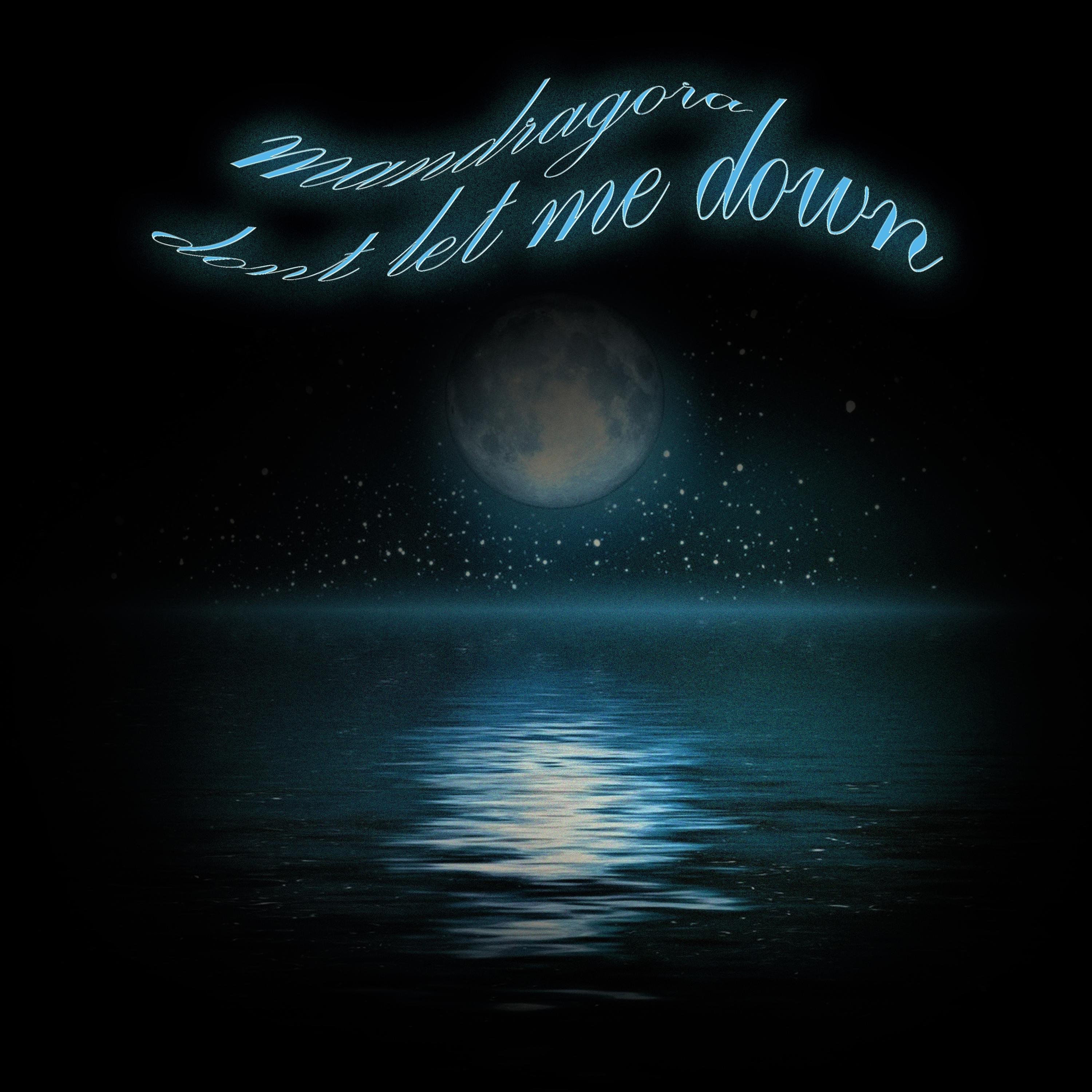 Don't Let Me Down - Single album cover
