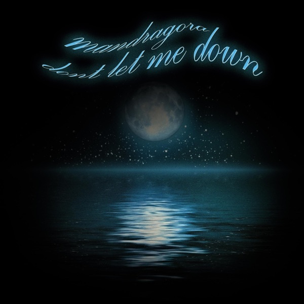 Don't Let Me Down - Single album cover