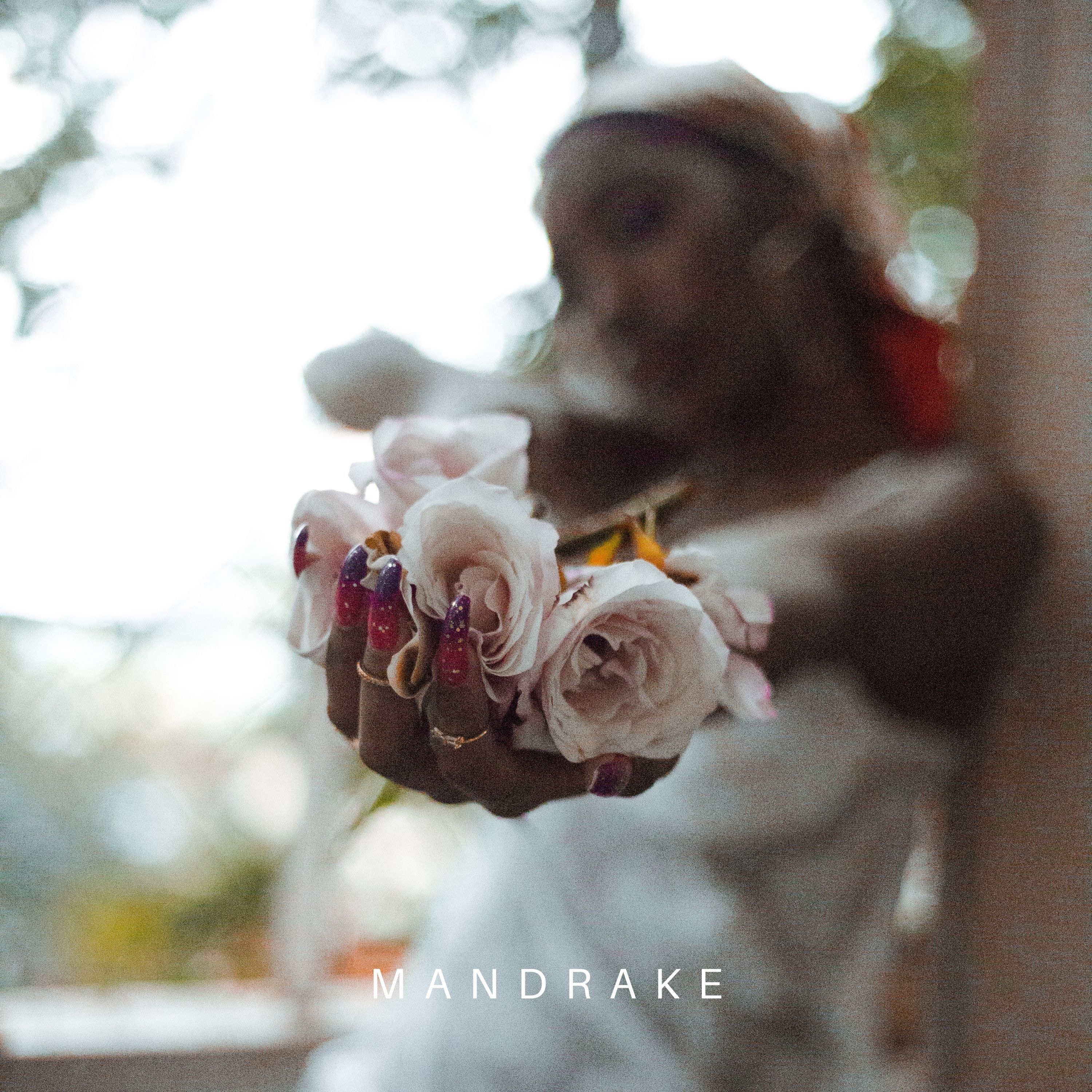 Mandrake album cover