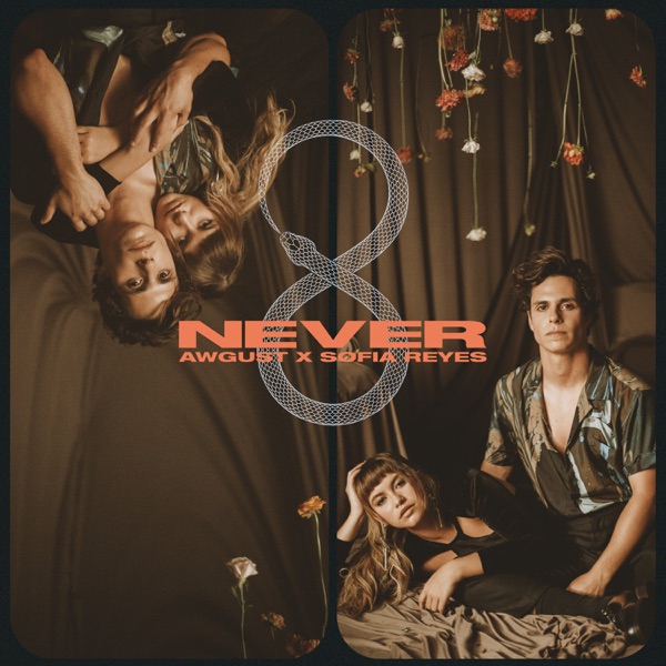 Never - Single album cover
