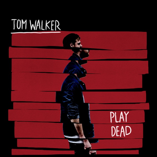 Play Dead - Single album cover