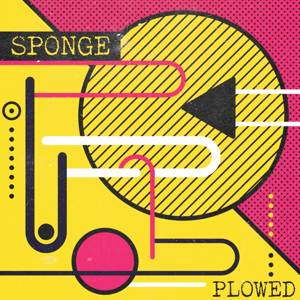 Plowed (Re-Recorded) - Single album cover