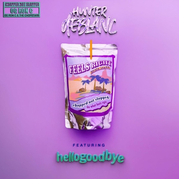 Do What Feels Right (feat. Hellogoodbye) [CHOPNOTSLOP remix] - Single album cover