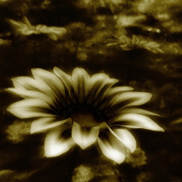 Golden (feat. Thieves Like Us) - Single album cover