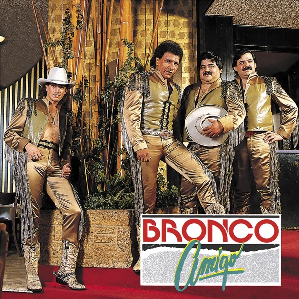 Bronco Amigo album cover