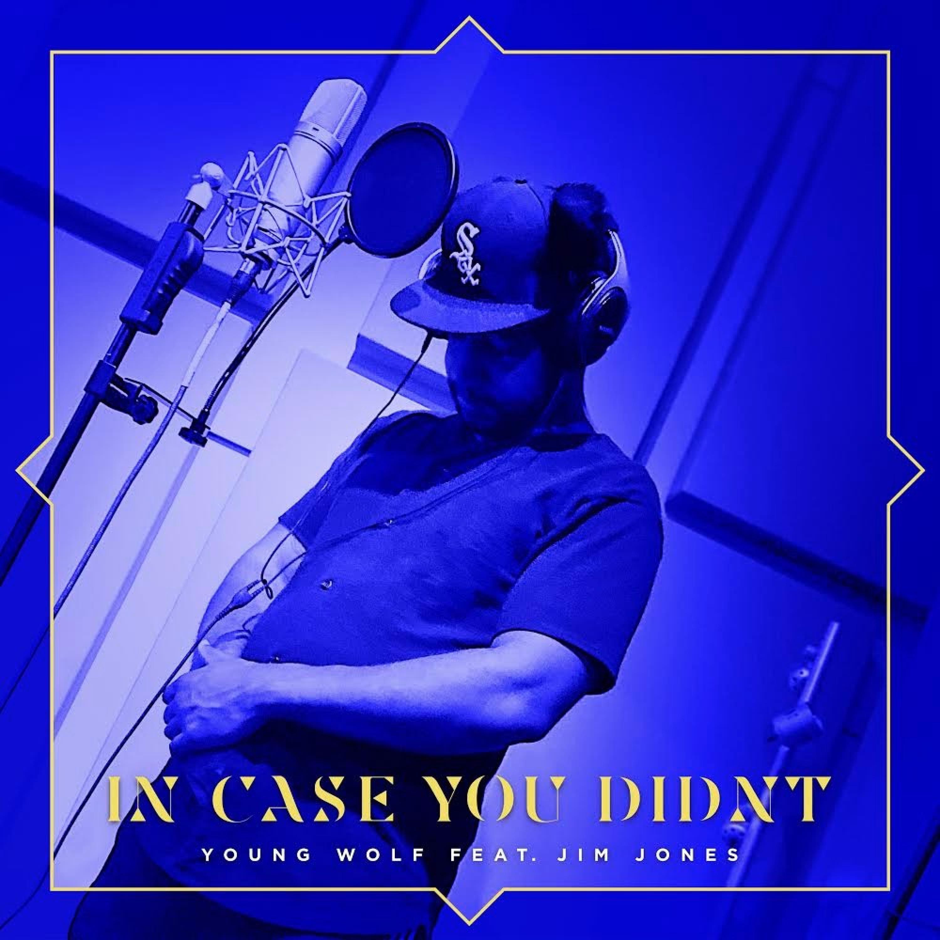 In Case You Didn't (feat. Jim Jones) - Single album cover