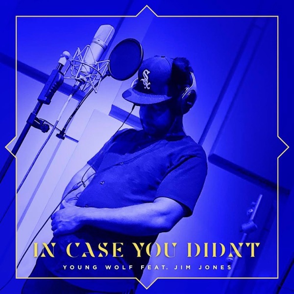 In Case You Didn't (feat. Jim Jones) - Single album cover