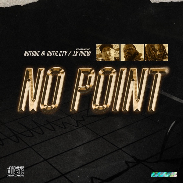No Point (feat. 1K Phew) - Single album cover
