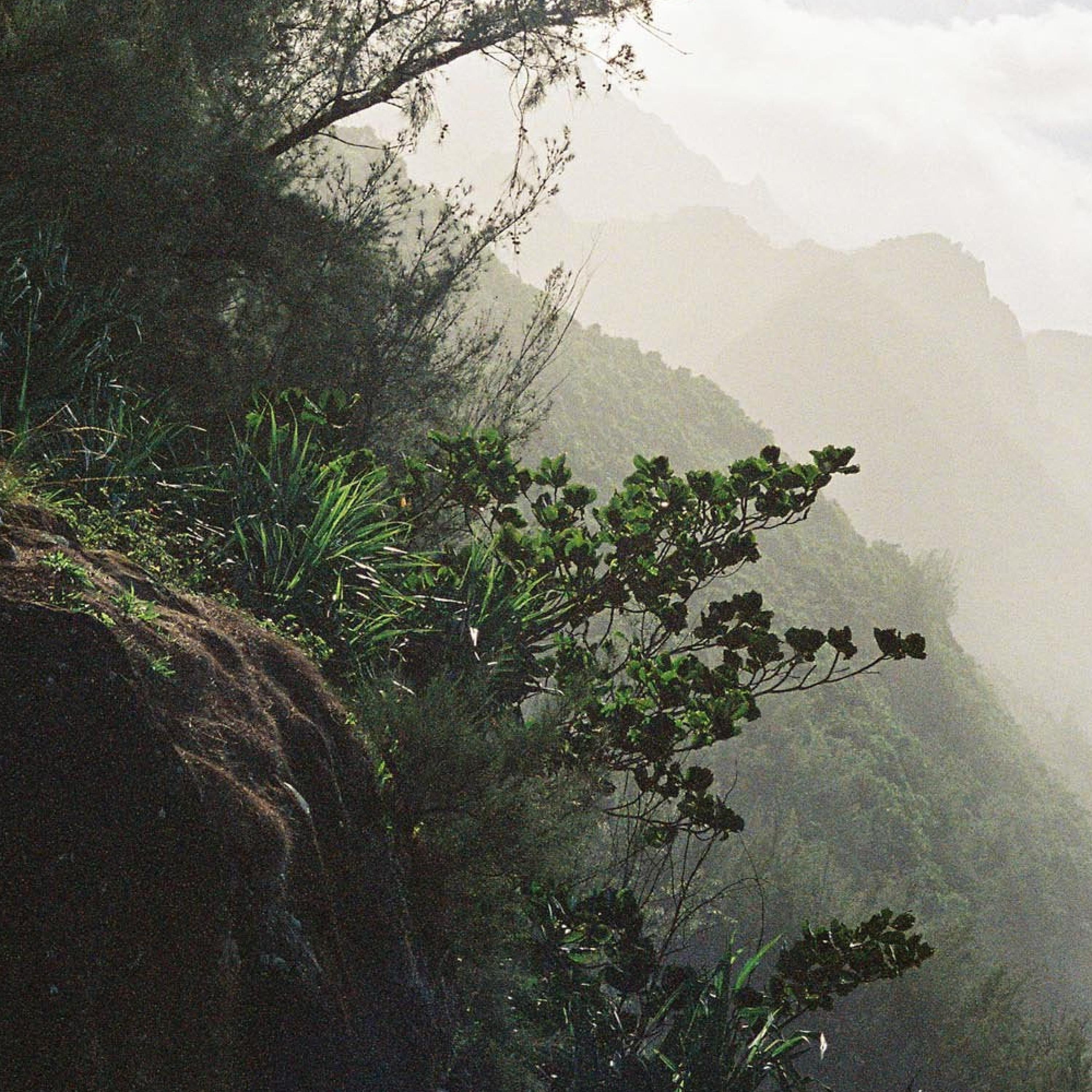 Sandalwood - Single album cover