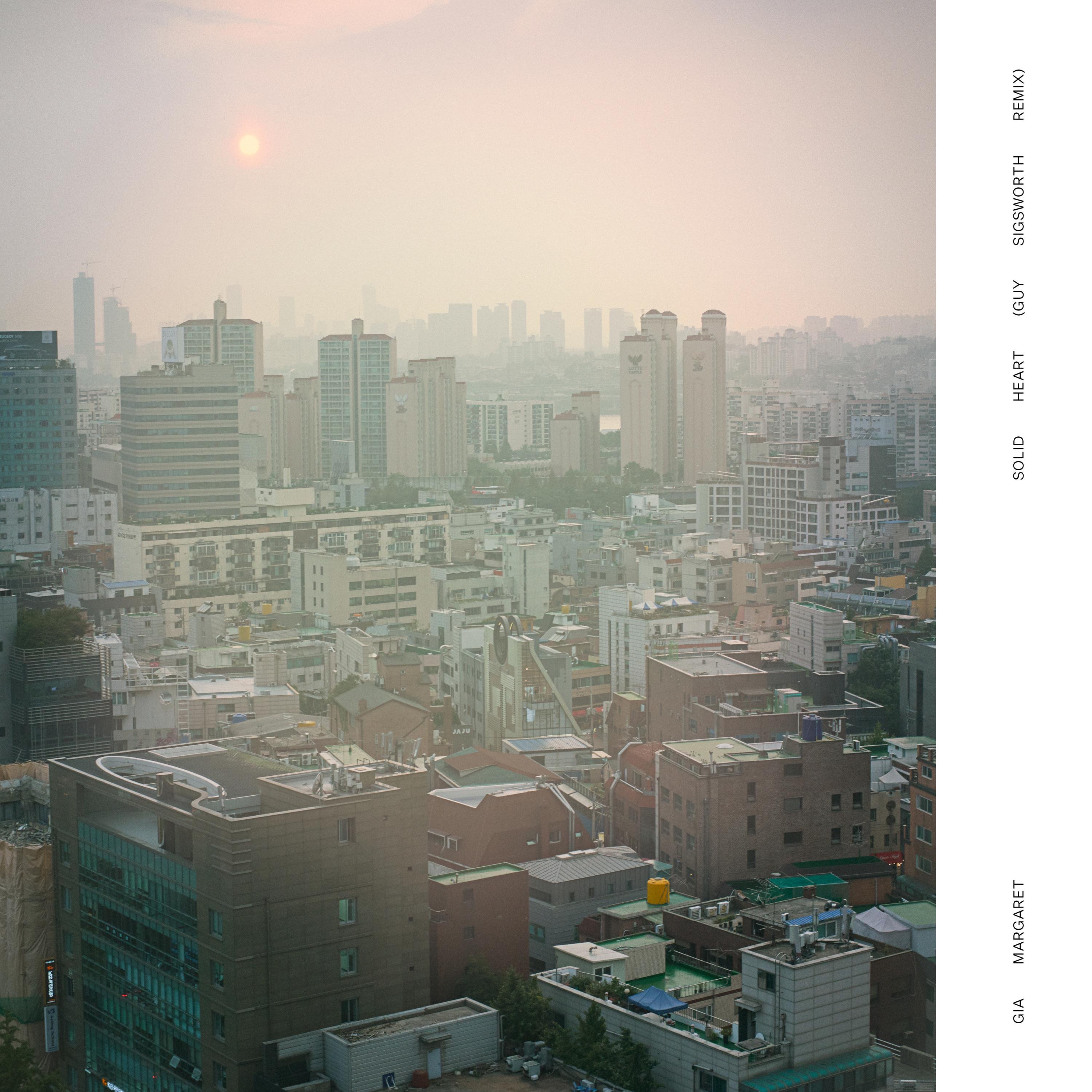 Solid Heart (Guy Sigsworth Remix) - Single album cover