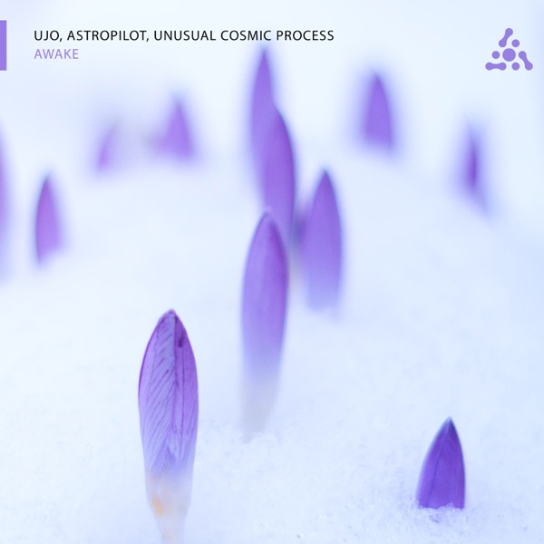 Awake - Single album cover