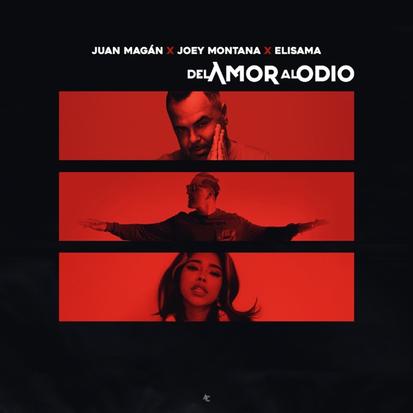 Del Amor Al Odio - Single album cover