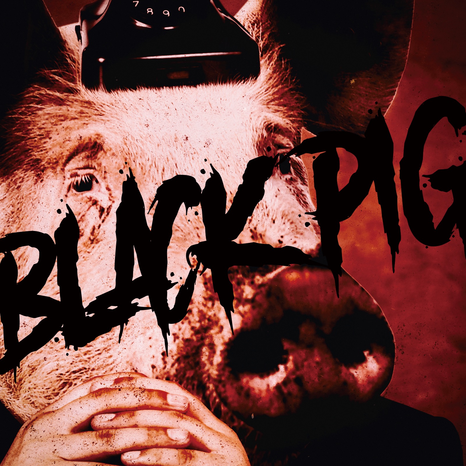 Black Pig - Single album cover