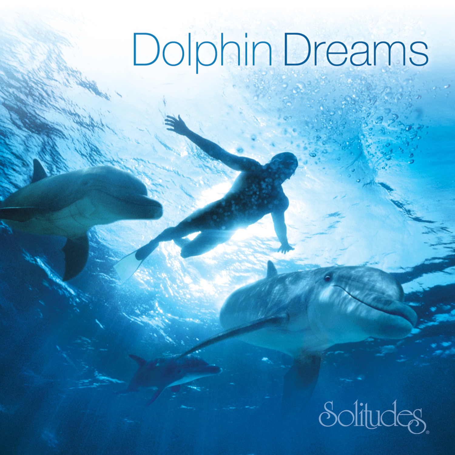 Dolphin Dreams album cover