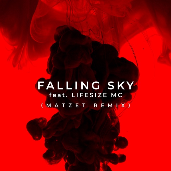 Falling Sky (feat. Lifesize MC) - Single album cover