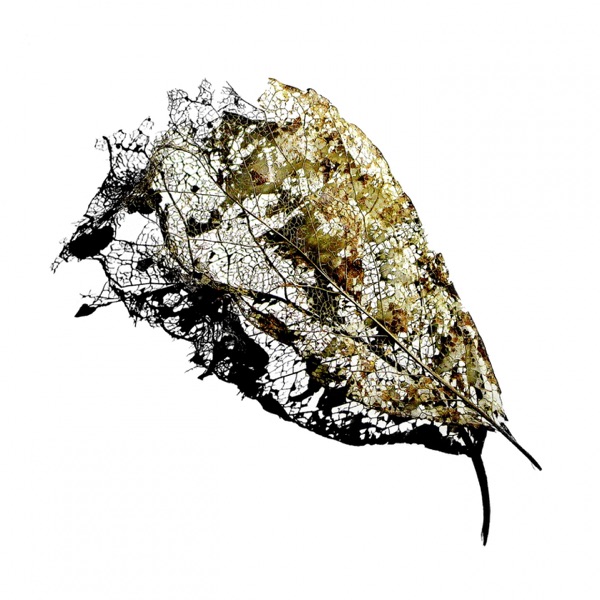 Spike - Single album cover