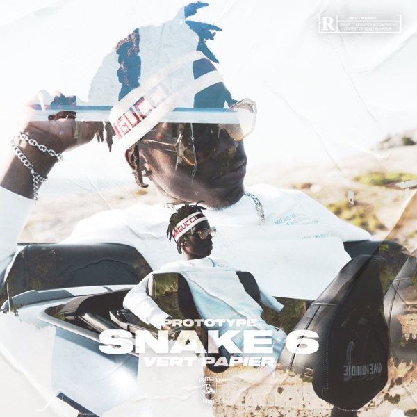 Snake #6 (Vert Papier) - Single album cover