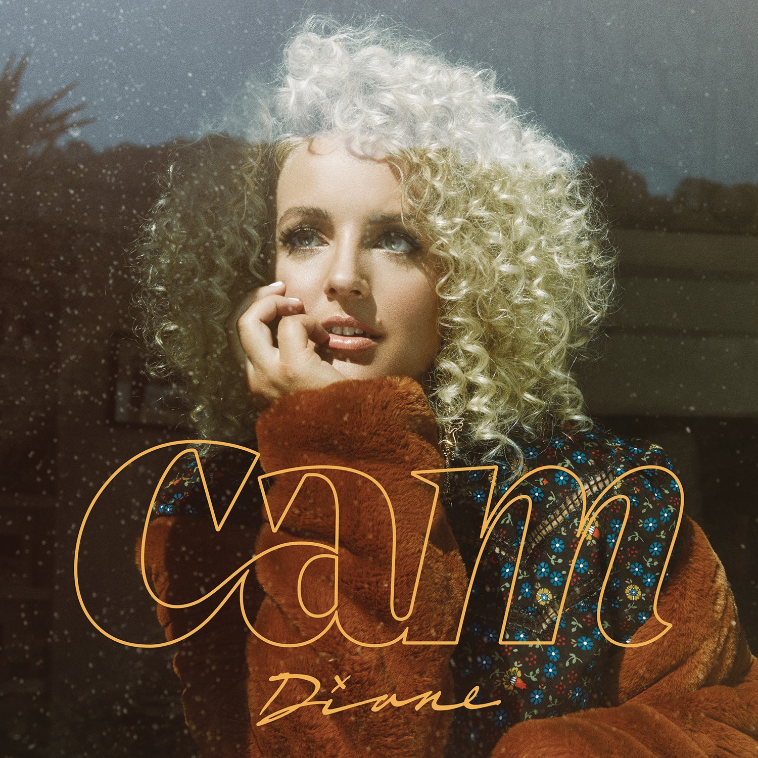 Diane - Single album cover