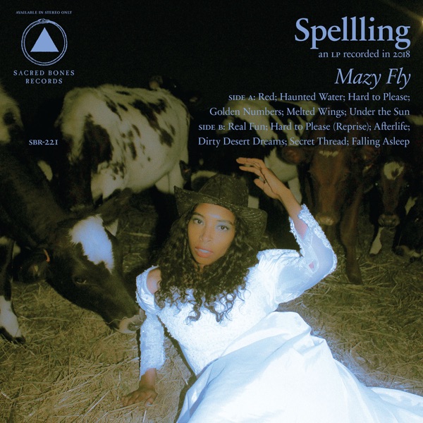 Mazy Fly album cover