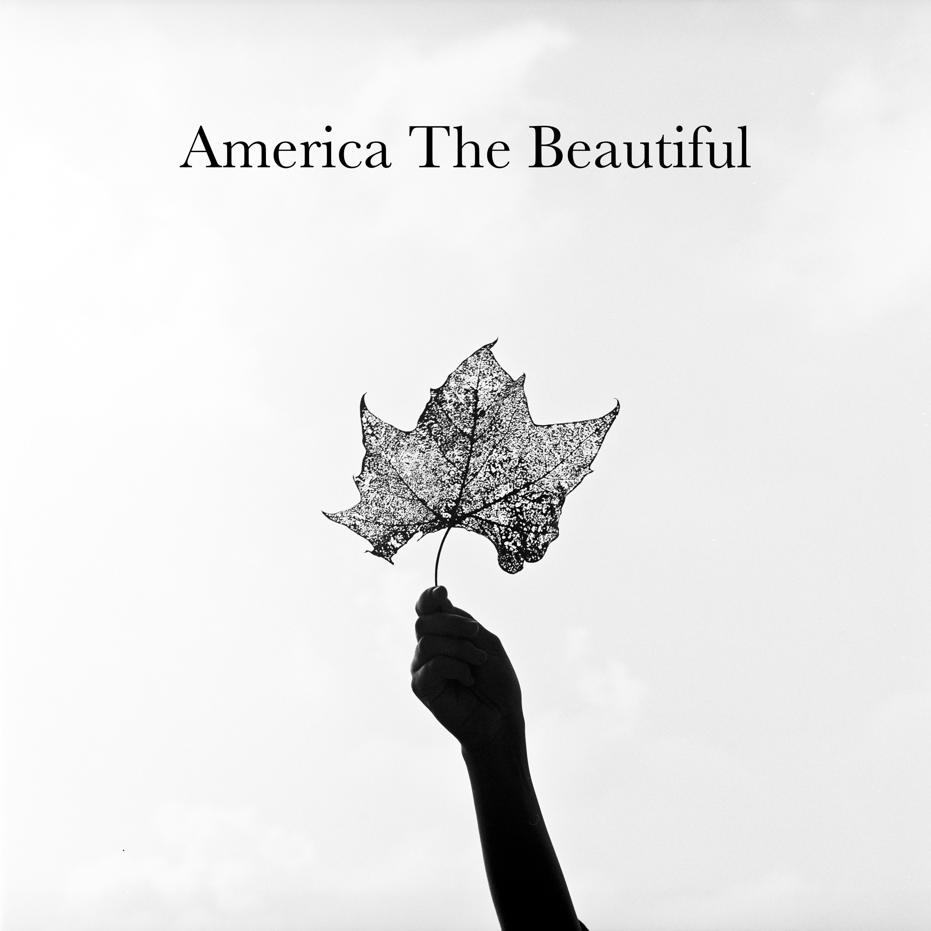 America the Beautiful (feat. Trisha Yearwood, Keb' Mo', Amy Grant & the War and Treaty) - Single album cover