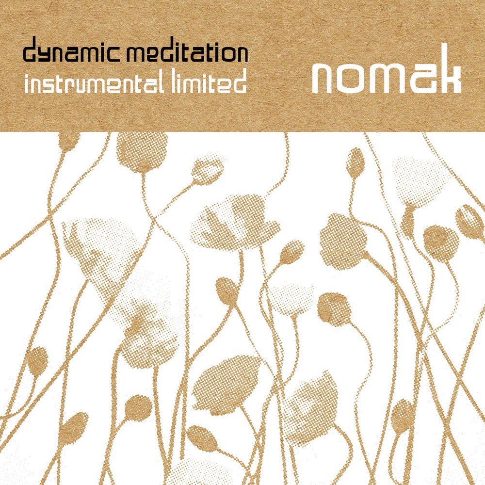 Dynamic Meditation Instrumental Limited album cover